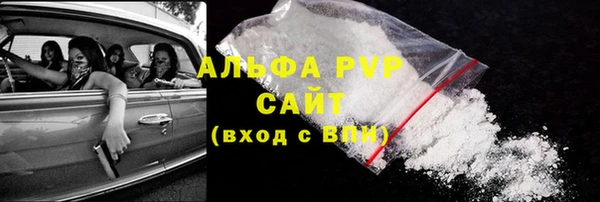 ГАЛЛЮЦИНОГЕННЫЕ ГРИБЫ Ельня