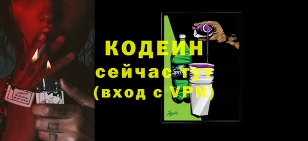 ГАЛЛЮЦИНОГЕННЫЕ ГРИБЫ Новодвинск