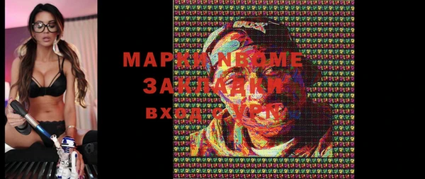 мдпв Новозыбков