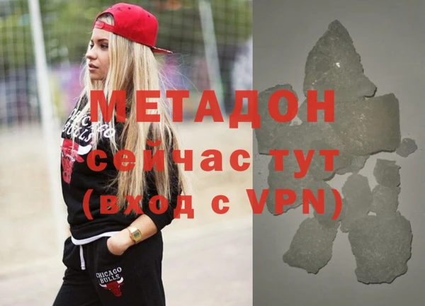 индика Туринск